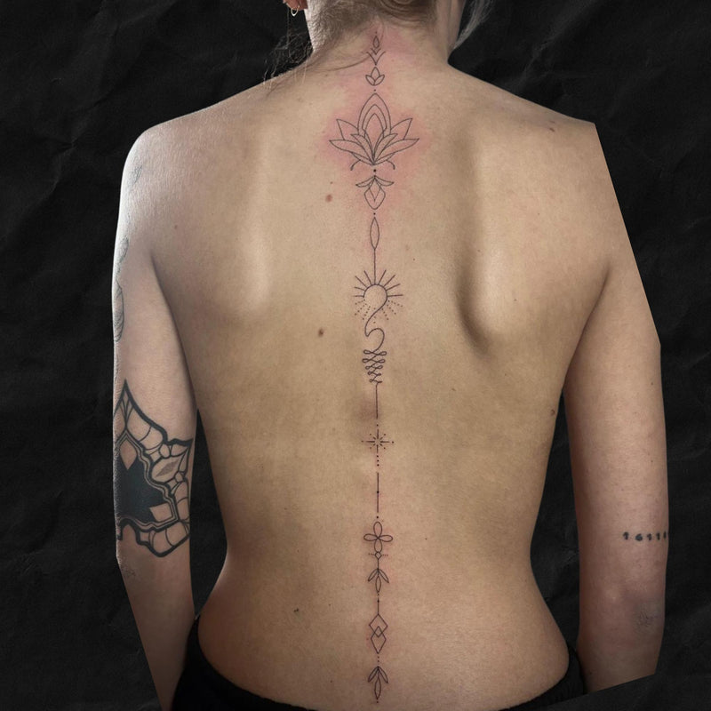 Fineline: "Spinal Bloom"