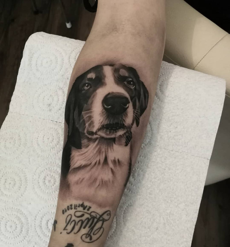 Realistic: Hundeportrait