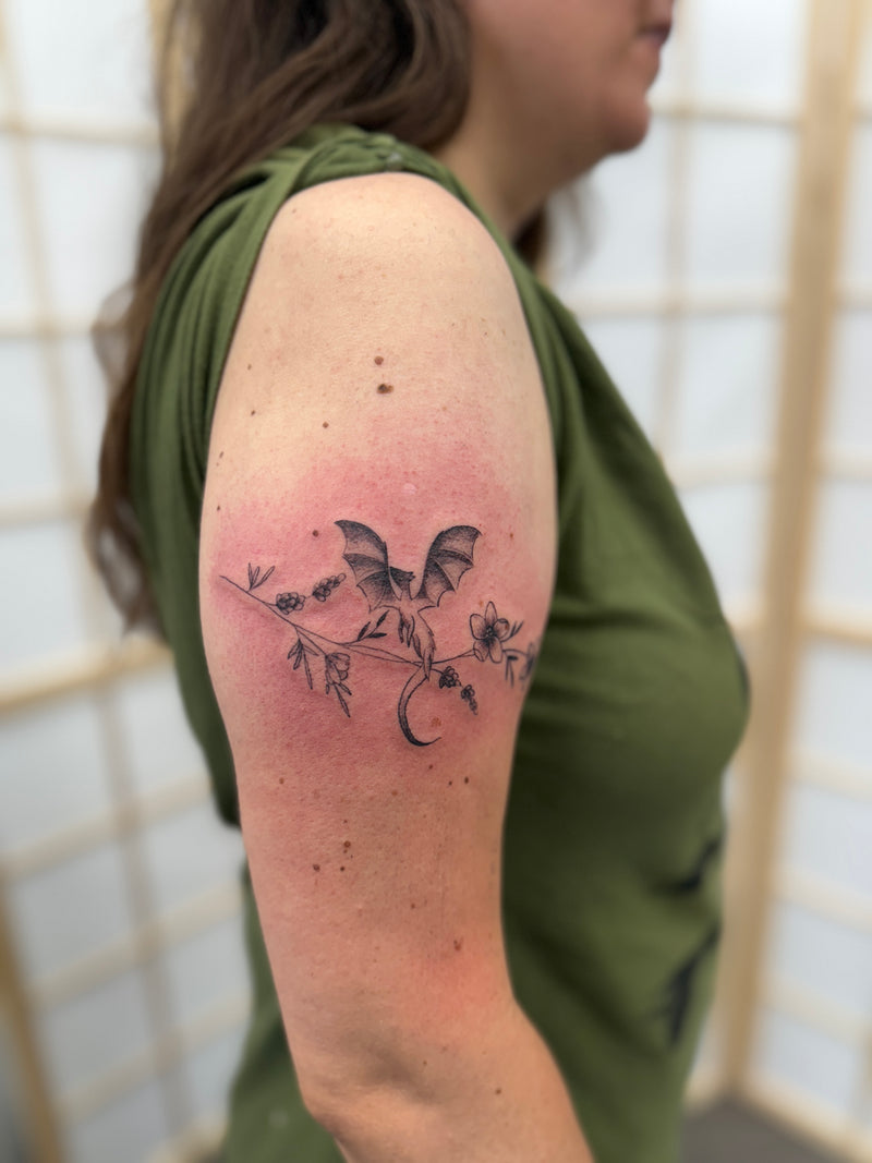 Fineline: Drache