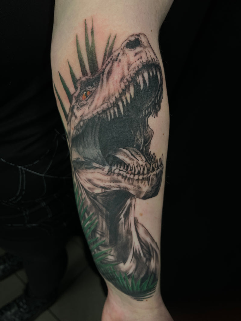 Cover Up: T-REX