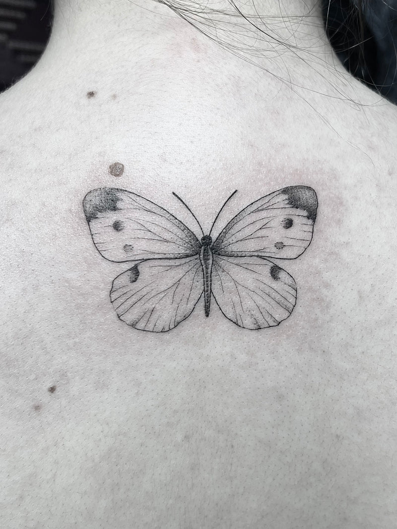 Fineline/Dotwork: Schmetterling