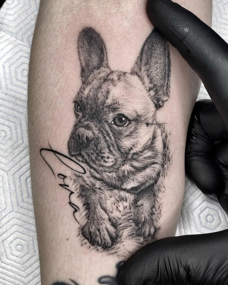 Realistic: Hunde Portrait