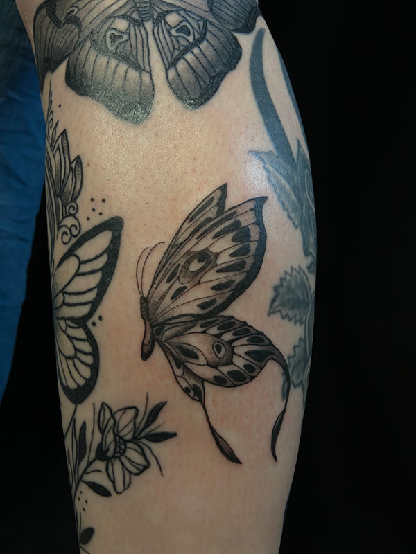 Traditional: Schmetterling