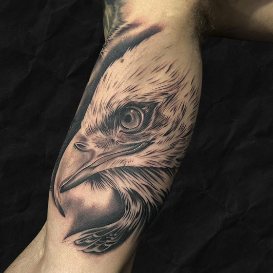 Realistic Adler Tattoo auf Oberarm innenseite, gestochen im Atelier Hannibal Tattoo Studio in Euskirchen