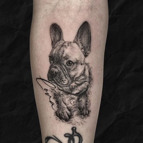 Hundeportrait black and grey realistic mit lettering vom Atelier Hannibal Tattoo Studio in Hürth