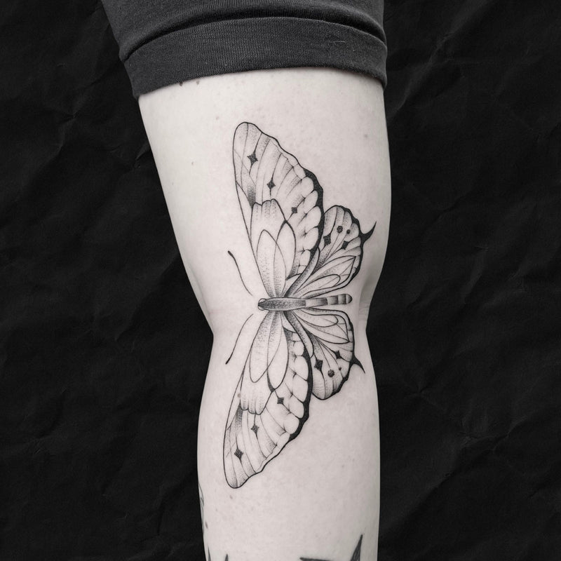 Schmetterlinge