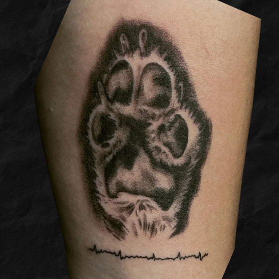 original pfotenabdruck  tattoo von einem Hund mit herzschlaglinie vom Atelier Hannibal Tattoo Studio in Hürth