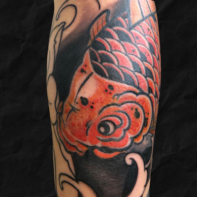 Japanese: Koi