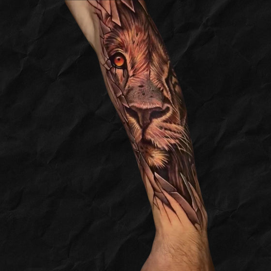 Löwen Tattoo Realistic auf Unterarm, gestochen im Atelier Hannibal Tattoo Studio in Euskirchen
