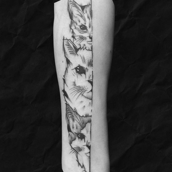 sketch tattoo stil von 3 katzen vom Atelier Hannibal Tattoo Studio in Hürth