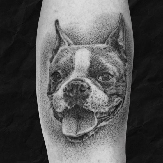Hundeportrait auf Unterarm im Realistic stil, gestochen im Atelier Hannibal Tattoo Studio in Euskirchen