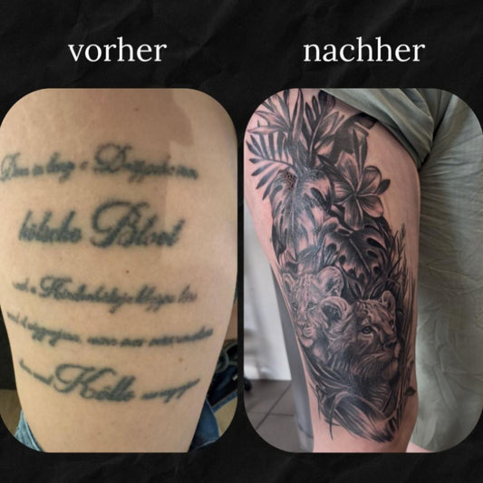 Cover Up: Tigerbabys