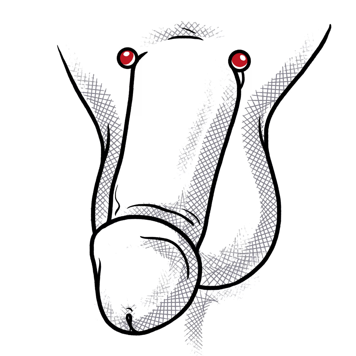 Pubic Piercing