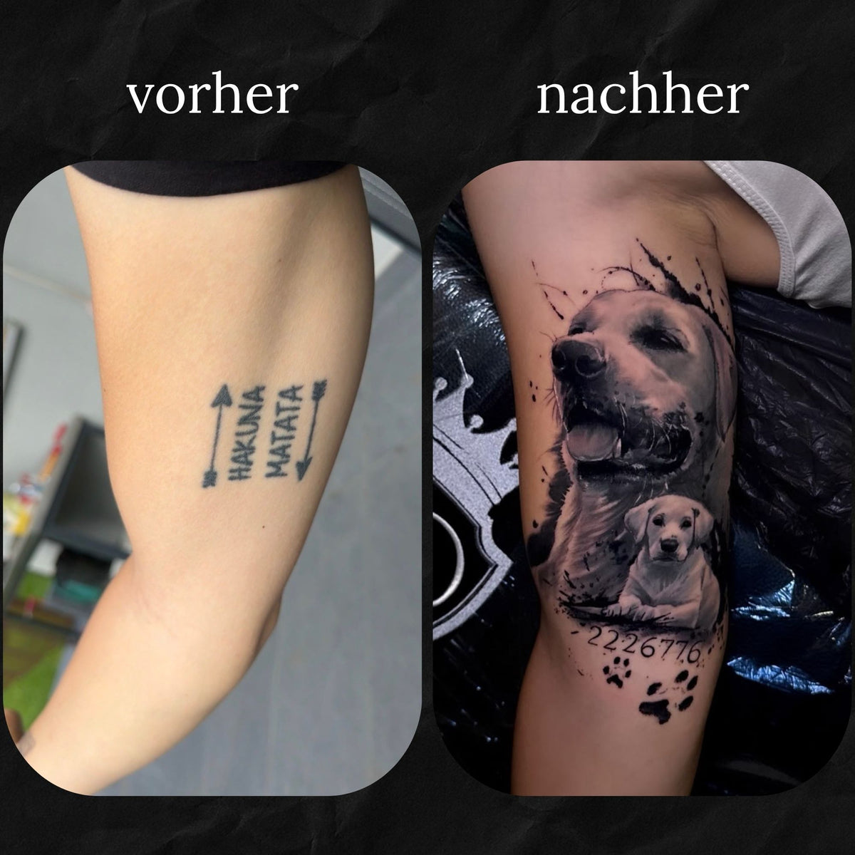 Cover-Up: Hunde Portrait