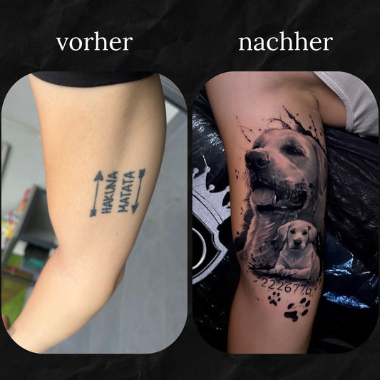 Cover-Up: Hunde Portrait