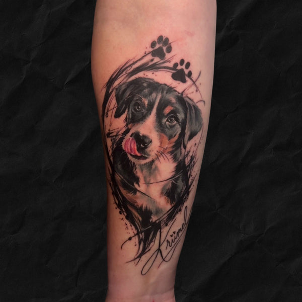 Hundeportrait