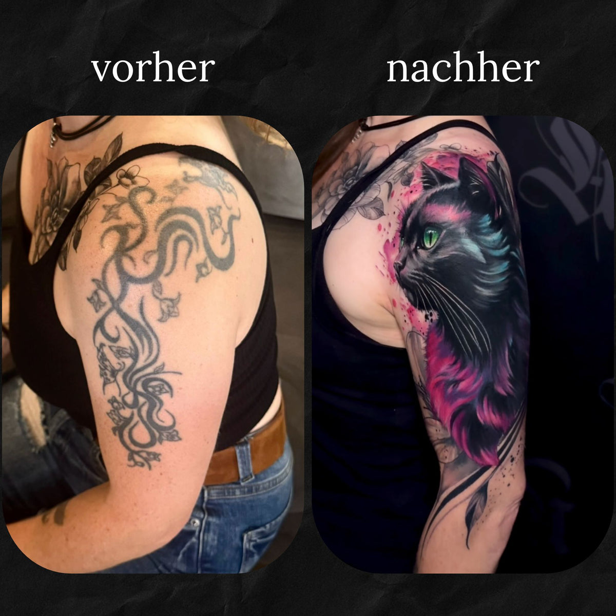 Katze Cover-Up