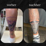 Cover Up: Traditional Panther