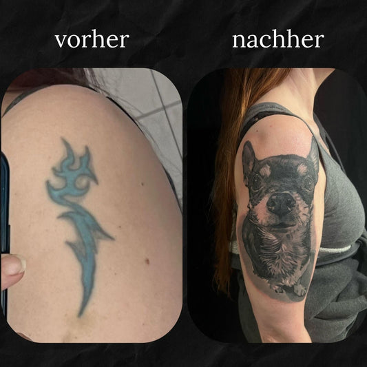Cover Up: Hundeportrait