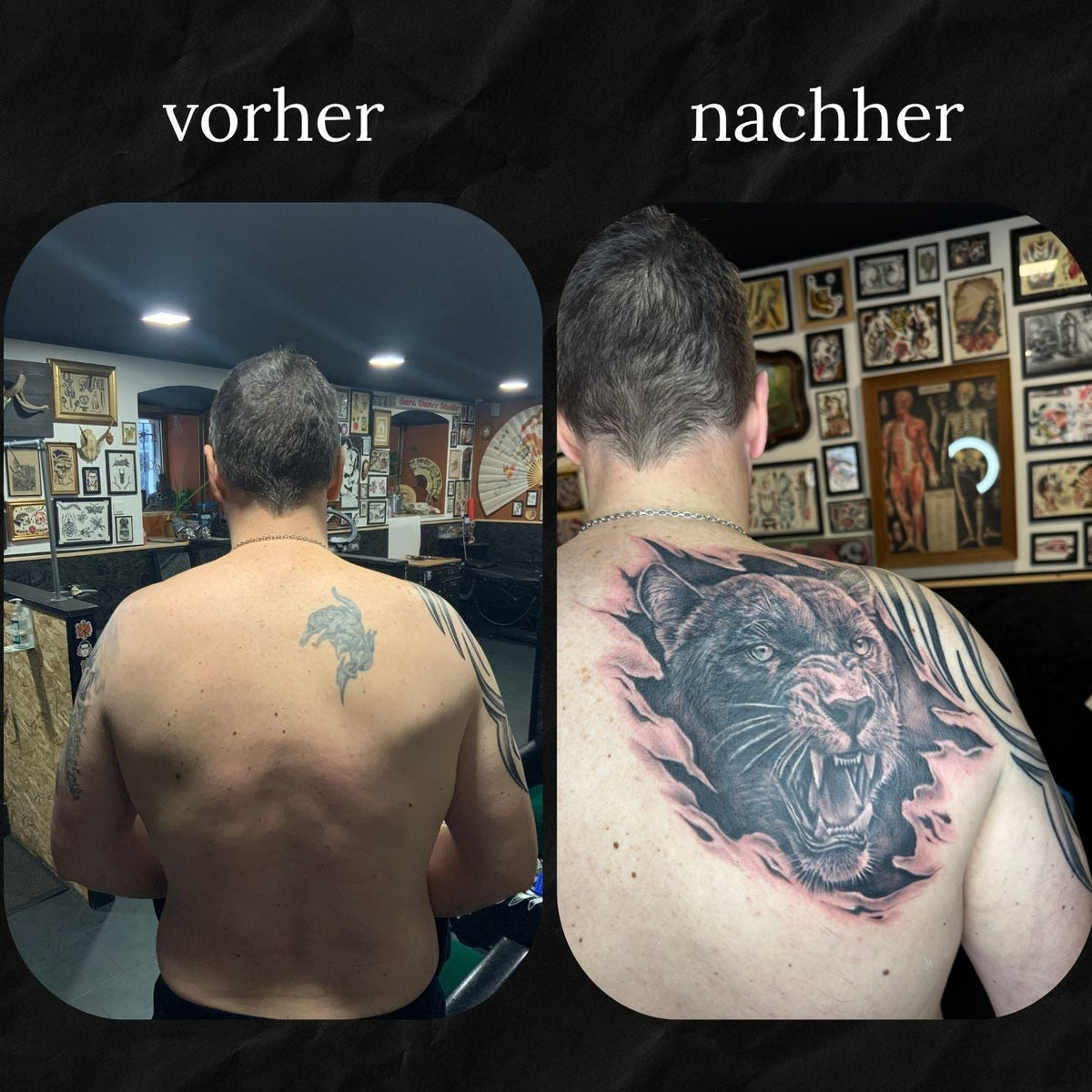 Cover Up: Panther