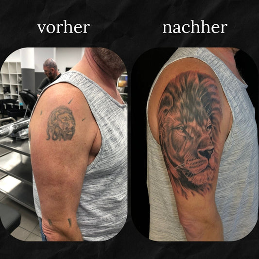 Cover Up: Löwe