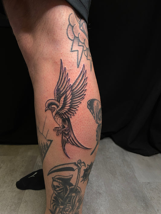 Linework: Vogel