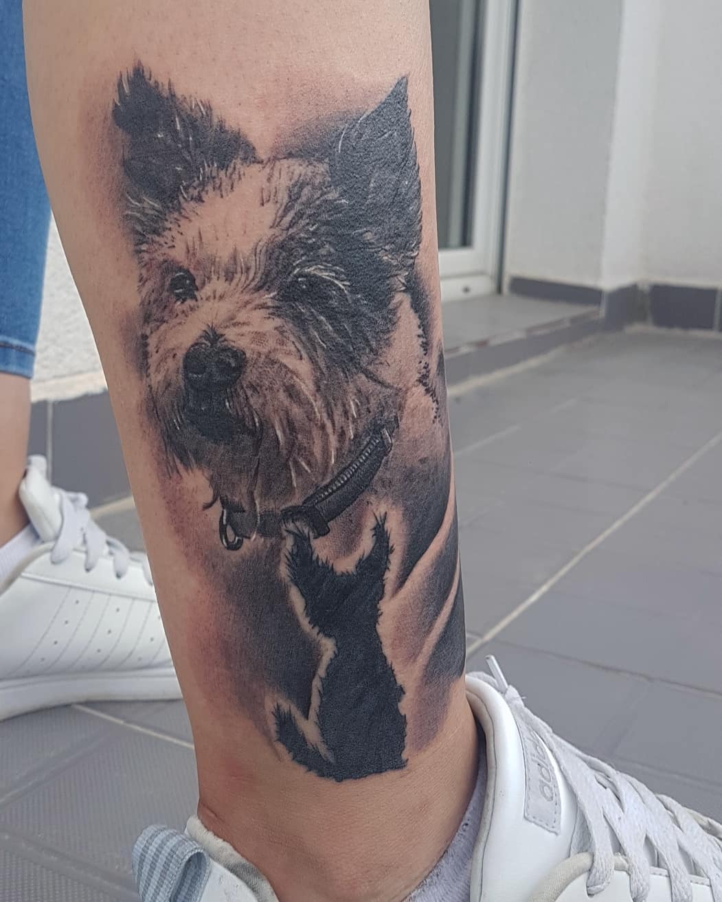 Realistic Portrait: Hund