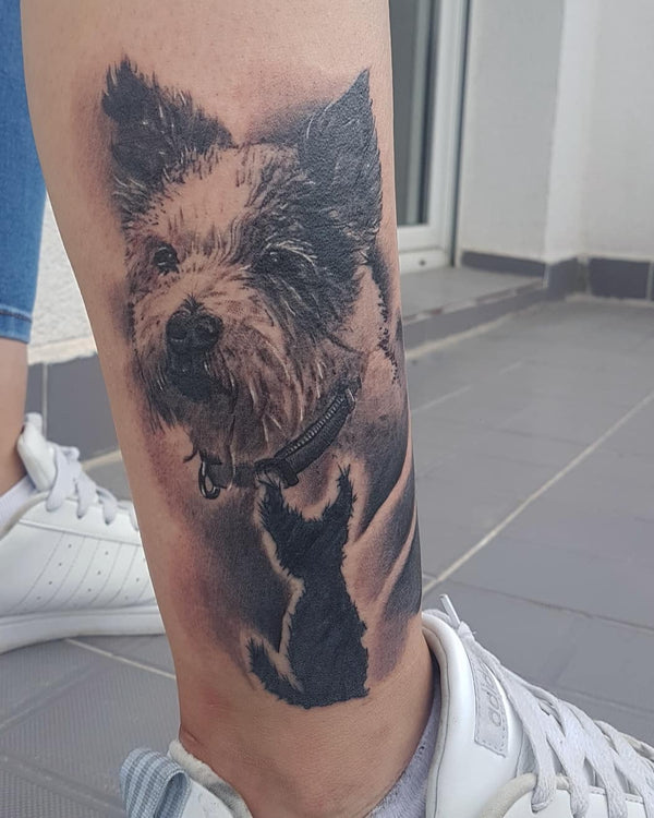 Realistic Portrait: Hund