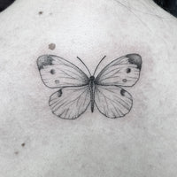 Fineline/Dotwork: Schmetterling