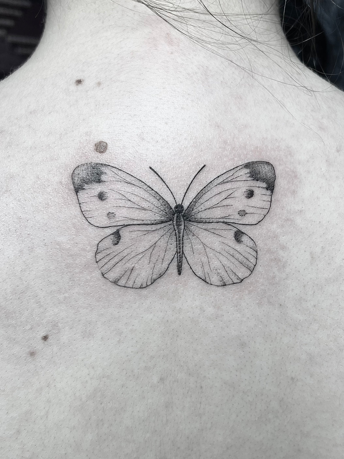 Fineline/Dotwork: Schmetterling