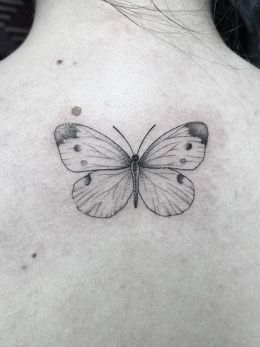 Fineline/Dotwork: Schmetterling