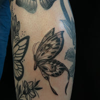 Traditional: Schmetterling