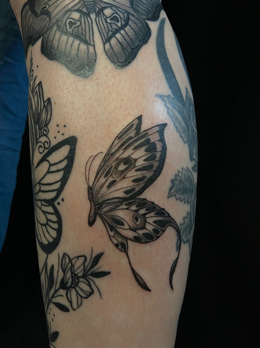 Traditional: Schmetterling