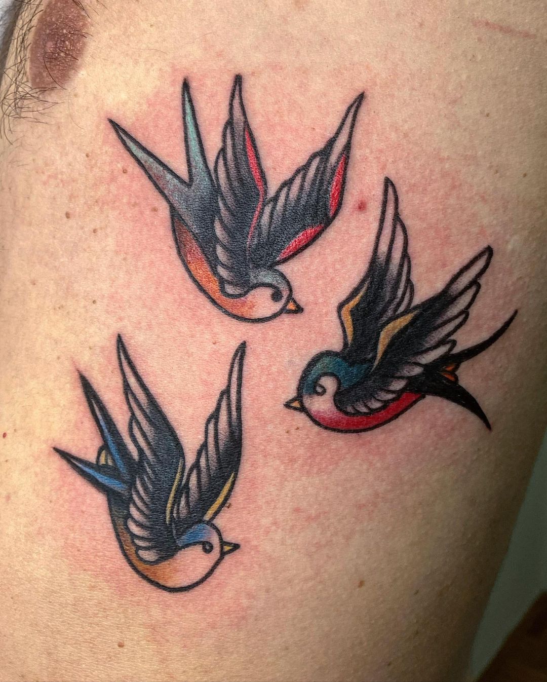 Traditional: Vögel
